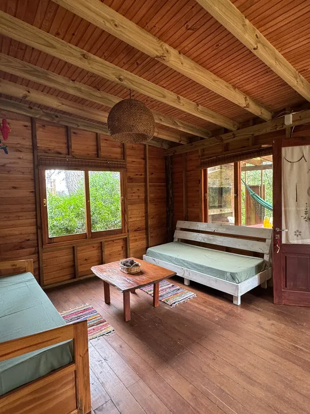 Living con sillones y ventanas al bosque