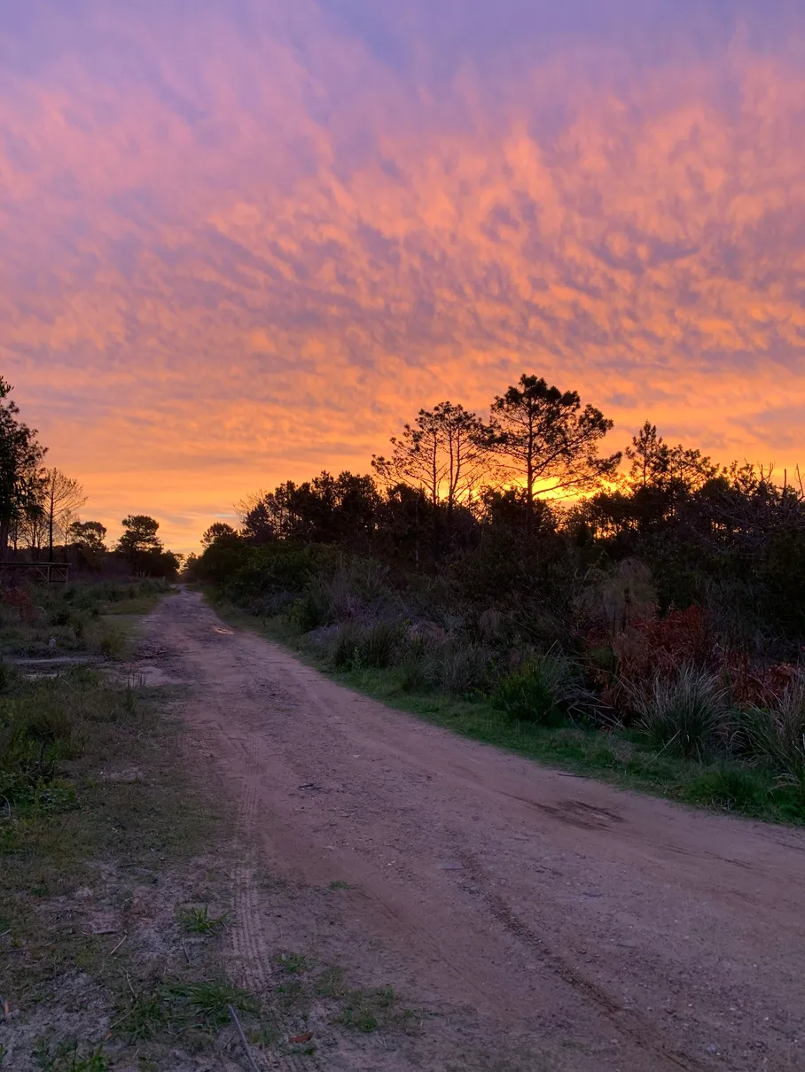 Camino de tierra al atardecer en Santa Isabel