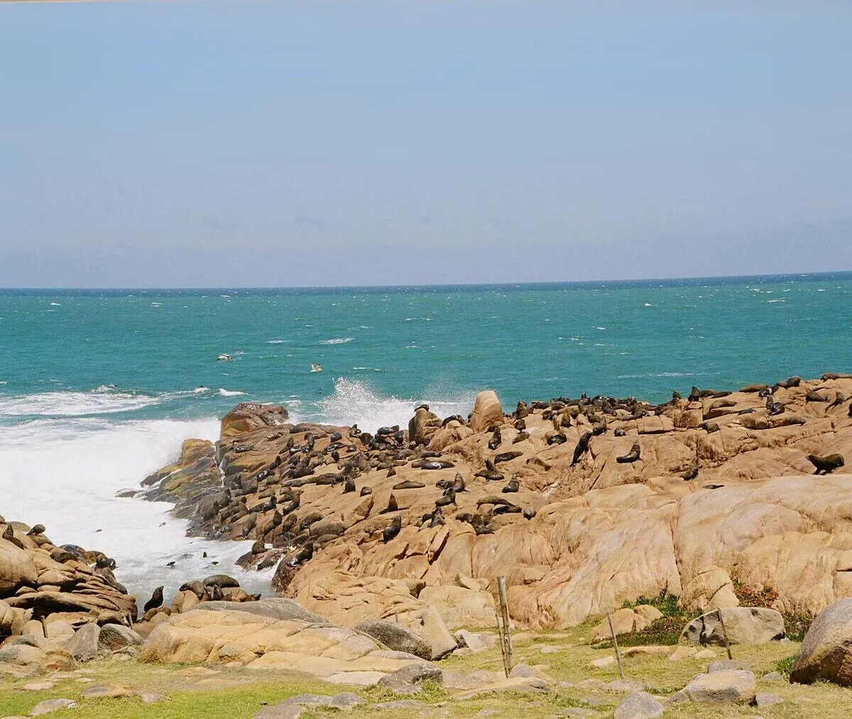 Rocas y mar turquesa en Cabo Polonio